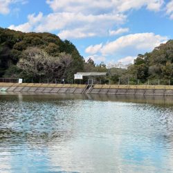 春の魚は強い！ ～岡崎トラウトポンド～